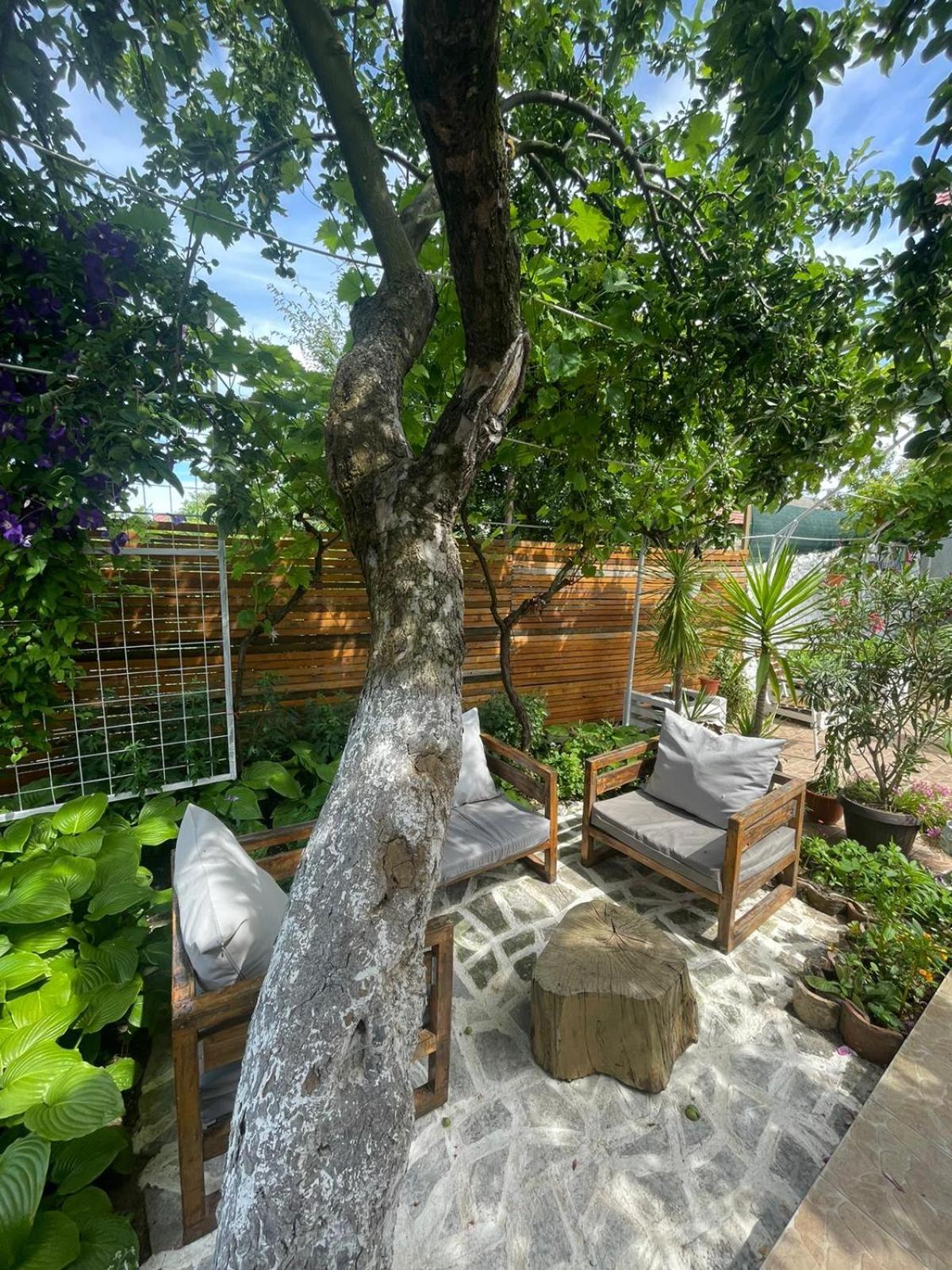 Casa Mediterana Două Mai Exteriör bild