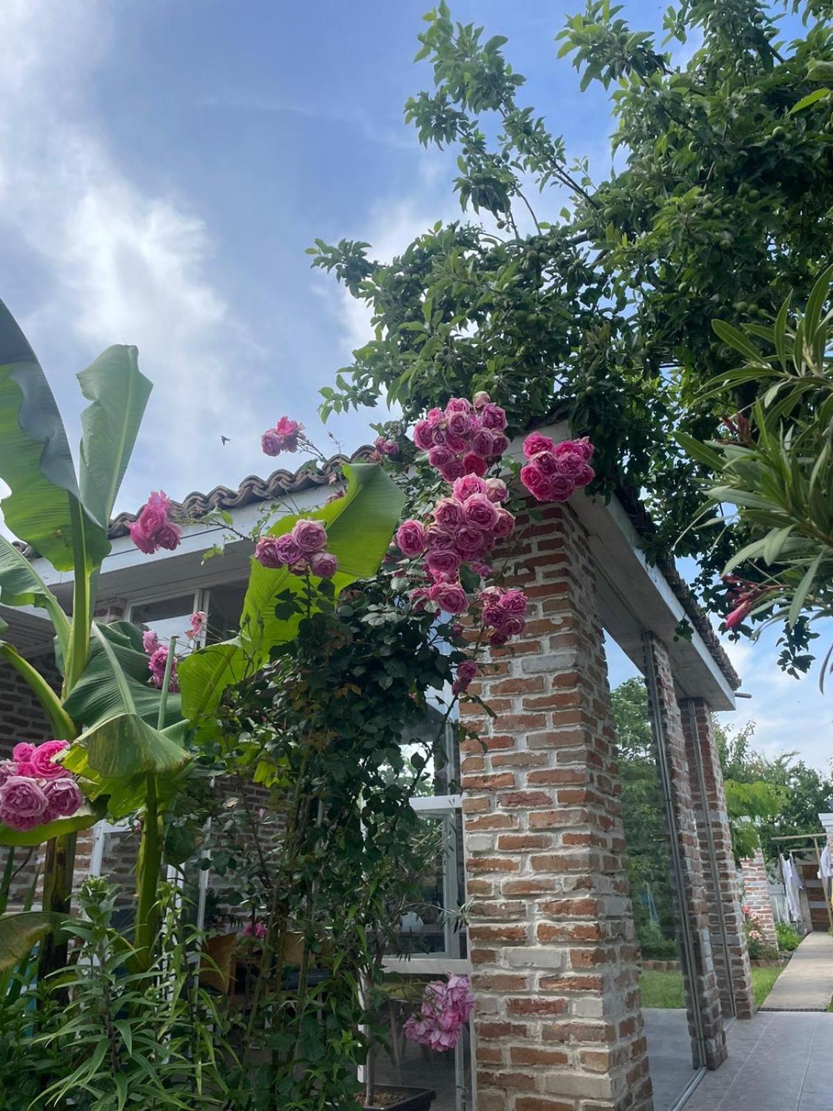 Casa Mediterana Două Mai Exteriör bild