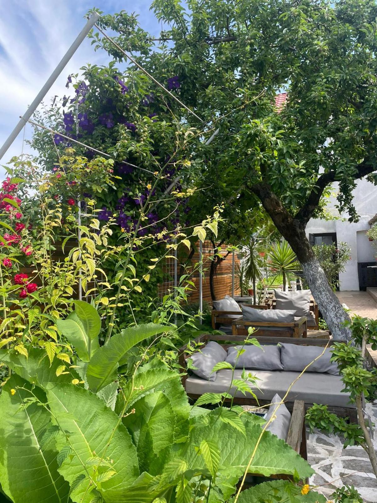 Casa Mediterana Două Mai Exteriör bild